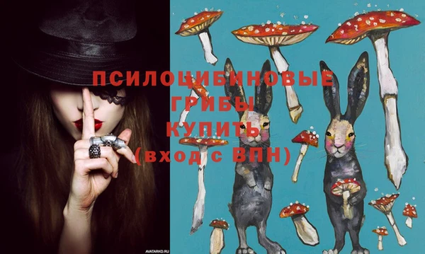 ALPHA PVP Покачи