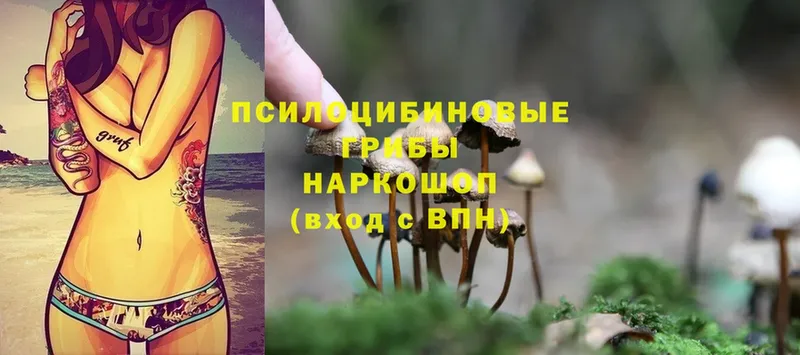 Псилоцибиновые грибы Magic Shrooms  hydra зеркало  Верхняя Салда 