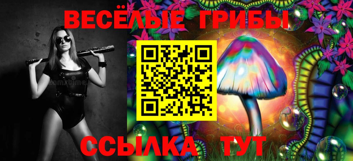 Галлюциногенные грибы мицелий  Верхняя Салда 